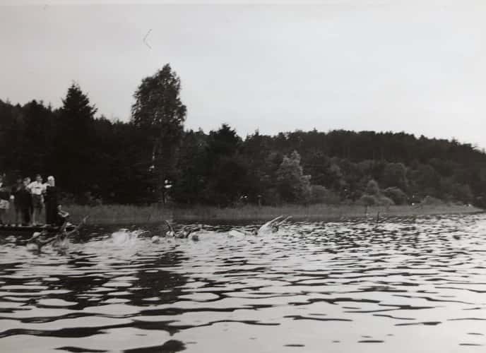 1955